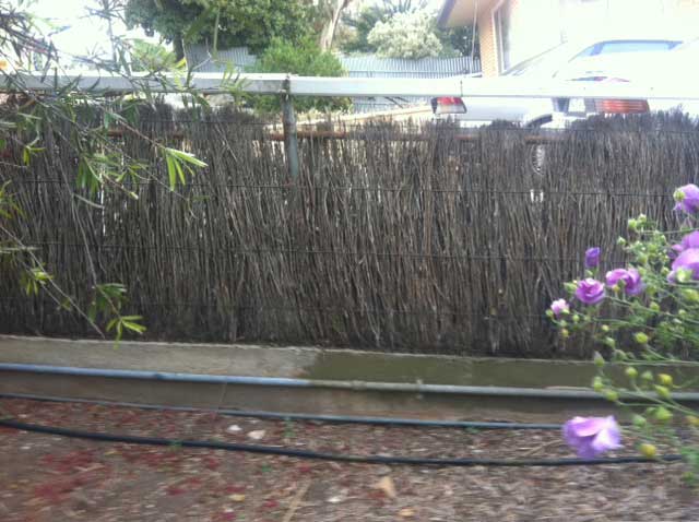 Image:   The brushwork in this fence should be replaced with new machine compressed never-sag brushwood panels.  The posts and base are still in good condition and can be re-used.  The rails would be replaced.