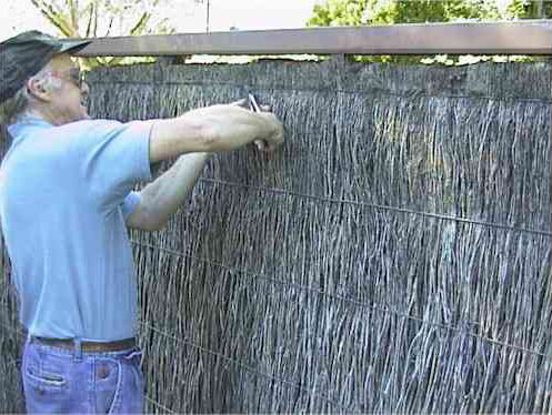 Image:  All the wire clips/staples are firstly removed in the top two or three fence running wires preparatory to lifting/separating the top layer of brush to recover the fence height.