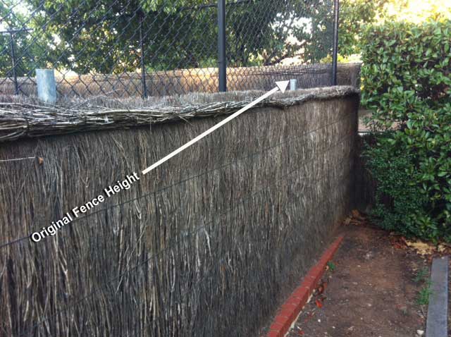 Image:   If privacy is not an issue, the post tops could be trimmed off and new roll top fitted with a fence such as this.  Facing the other side with tennis court mesh in place would be difficult.