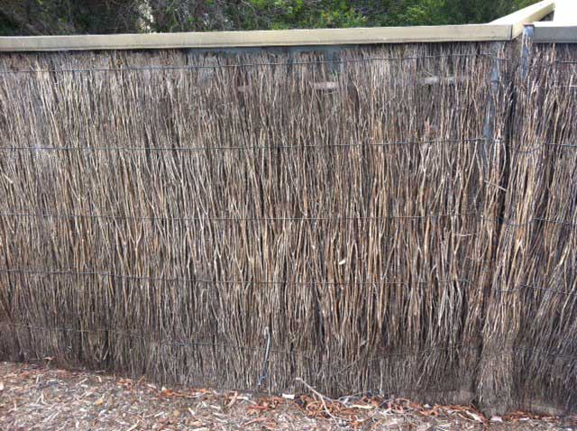 Image:   This fence is very thin at the top and will need a full facing of brush on both sides to restore.