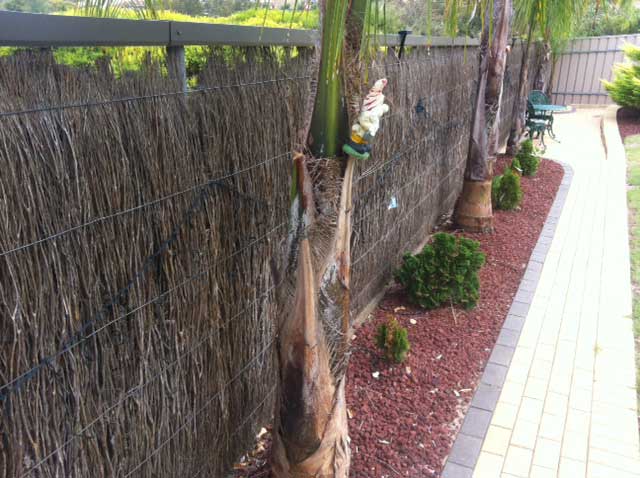 Image:   This fence is very thin in the top half and will need a full facing of brush on both sides to restore.