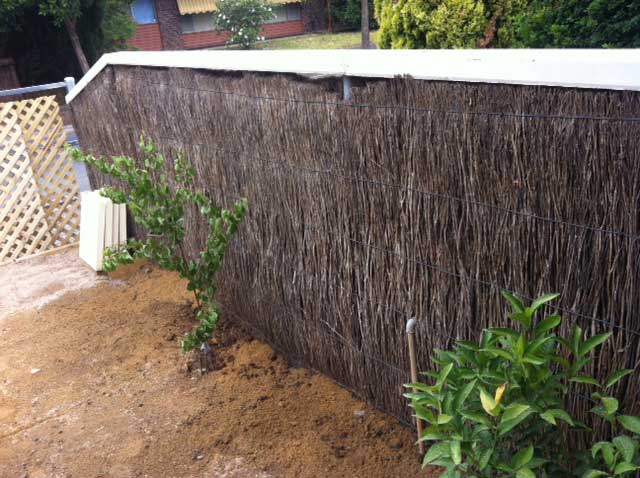 Image:  This fence is about 20 years old and should lift OK without much brush needed.  However a garden bed/soil has been placed against the brushwork which could push it off the base and will rot the brush prematurely with moisture/time.