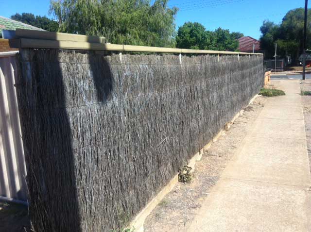 Image:   It can be seen from the exposed posts that this fence is very thin at the top and will need a full facing of brush on both sides of the fence.