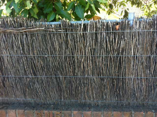 Image:   The top layer of brush appears to have been pulled out of the top of the fence in the image above exposing the stick ends of the bottom layer, but is still quite thick in the bottom half of the fence and will need new brush fitted both sides at the top to restore.